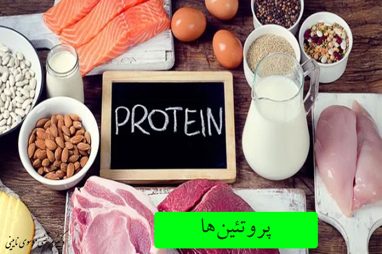 پروتئین‌ها