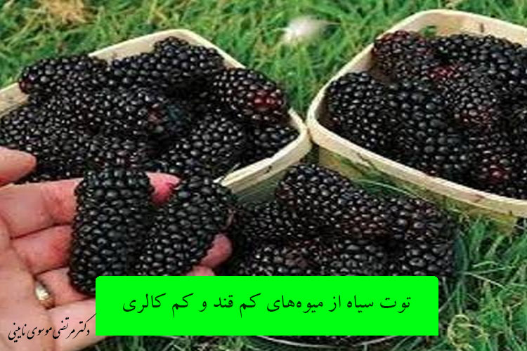 توت سیاه از میوه‌های کم قند و کم کالری